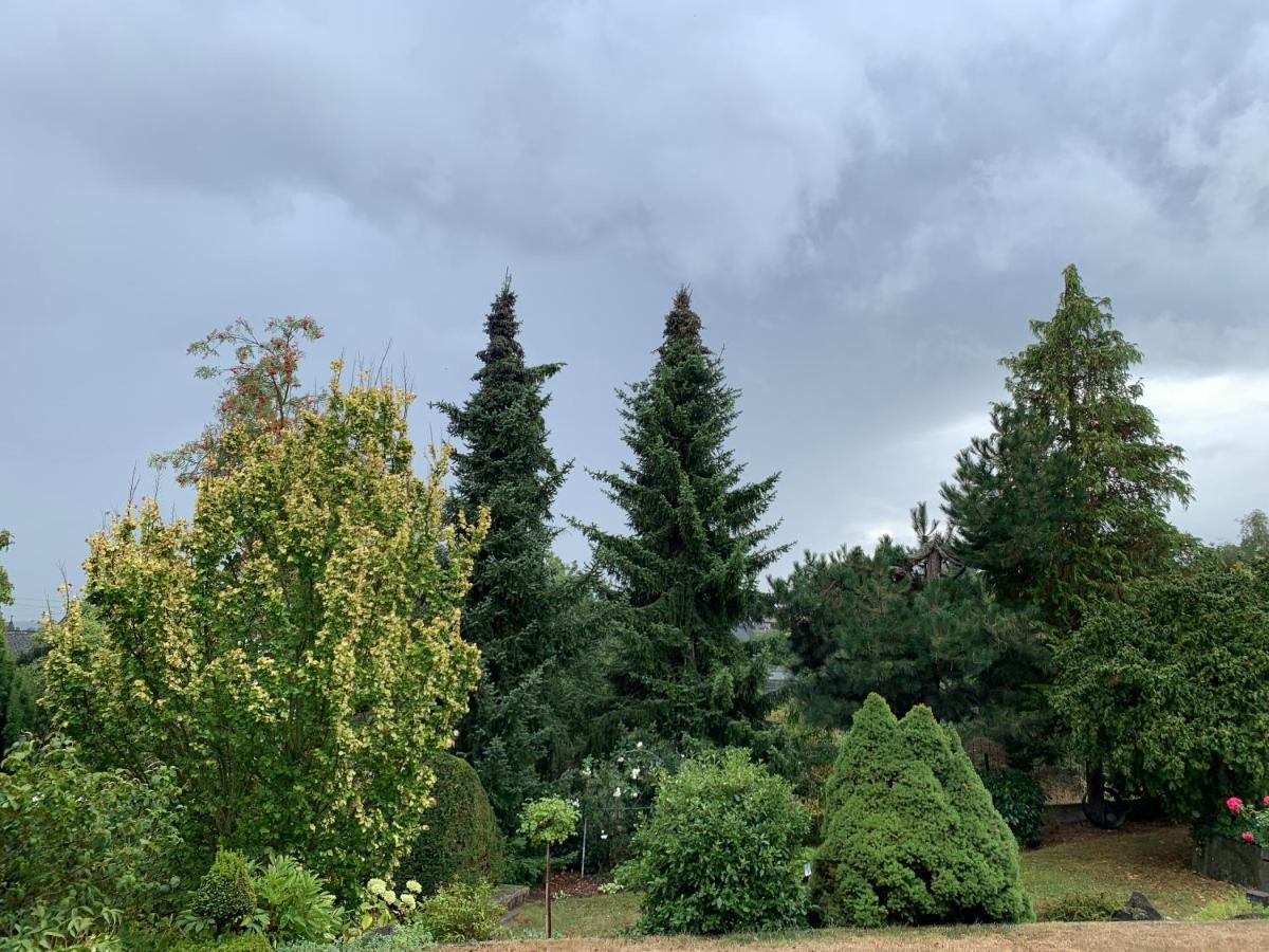 Appartamento Gruene Oase Kottenheim Esterno foto